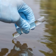 Le Valais recommande de ne pas consommer les poissons pêchés dans le canal Stockalper