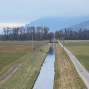 La pêche est interdite dans le canal Stockalper 