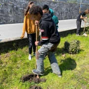 Saint-Maurice : élèves et professeurs du Collège unissent leurs forces pour planter des arbustes