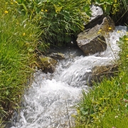 Troistorrents : économiser l'eau pour éviter la restriction