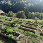 Troistorrents : des potagers à l'école