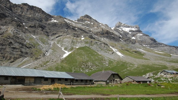 Bex: retour, après 50 ans, d'une fromagerie sur l'alpage d'Anzeindaz