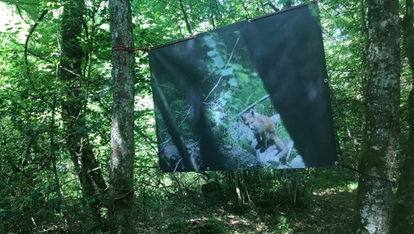 Vionnaz : La faune locale à l'honneur