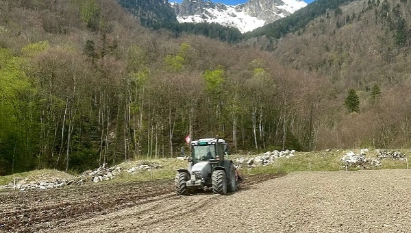 Port-Valais produira son propre vin communal d’ici 3 à 4 ans 