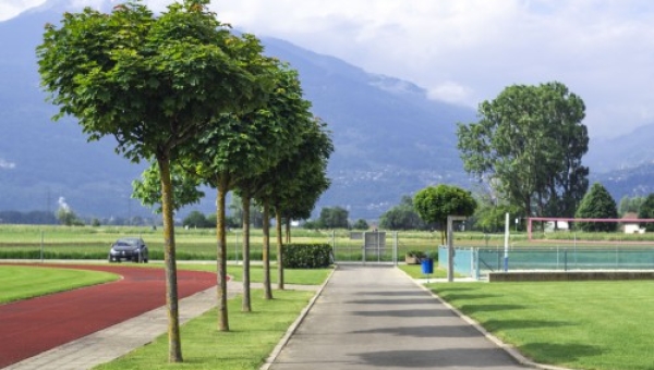 Ollon: les opposants aux nouvelles infrastructures de la zone sportive des Verchy se font entendre