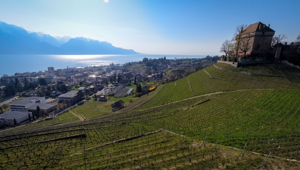 Vaud: le Conseil d'Etat alloue un crédit d'études de 350'000 francs pour l'Ecole Professionnelle de Montreux