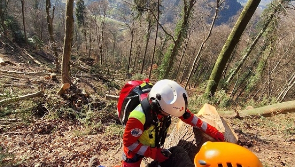Bex: accident de travail en forêt