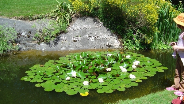 St-Triphon : Le jardin botanique souffle ses 50 bougies