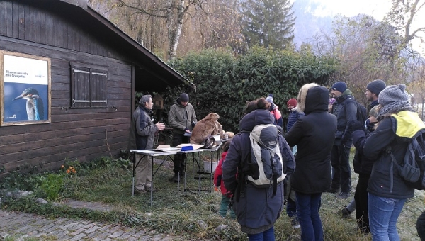 Noville : Explorez les Grangettes au travers de visites guidées thématisées 