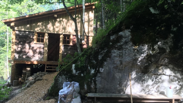 Villeneuve, Rennaz et Noville dévoilent leur patrimoine forestier ce week-end