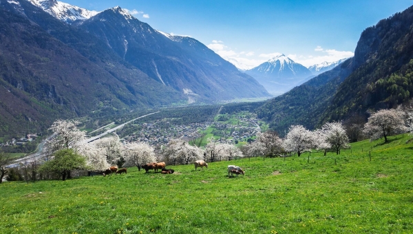 Le Valais approuve le financement en faveur du Parc naturel régional de la Vallée du Trient