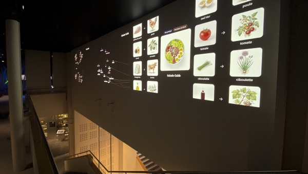 Une nouvelle installation interactive à l'Alimentarium de Vevey