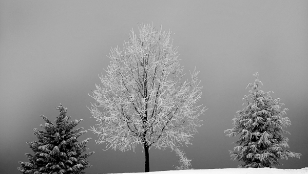 Risque d'avalanches : Saint-Gingolph boucle la Route du Frénay