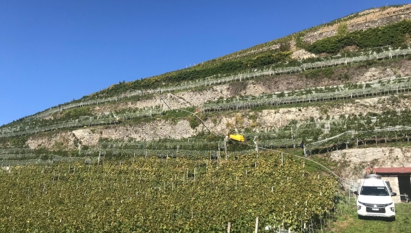 Crise du vin : 10% du vignoble vaudois pourrait être arraché d’ici à deux ans 