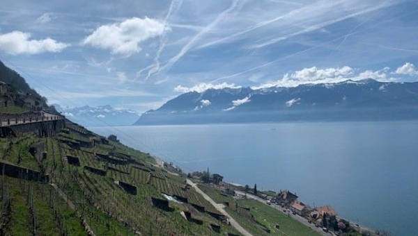  Le 8ème Congrès international du Centre de Recherches, d’Études et de Valorisation de la Viticulture de Montagne s'ouvre à Montreux