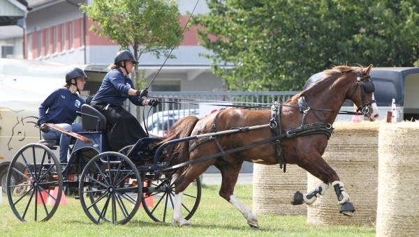 "C’est vrai que cette année c’est un peu extrême" - Le concours hippique d'Aigle s'adapte à la chaleur 