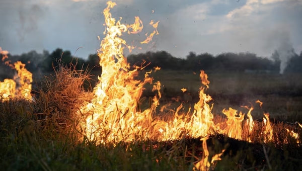 Le danger d’incendie est au maximum dans certaines régions du Valais