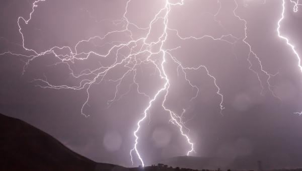 Orage à Noville : un blessé après la chute d'un arbre 