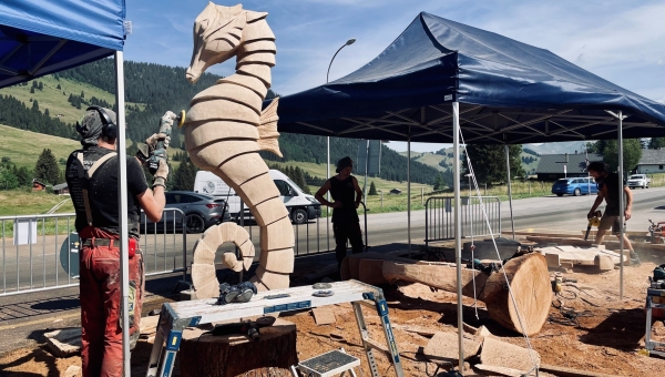 Ailyos : les Alpes vaudoises comme galerie d'art 