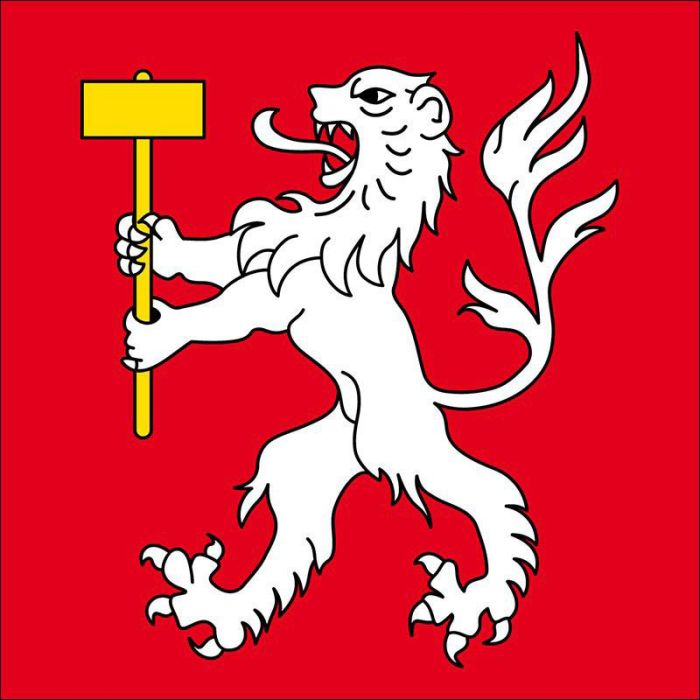 Drapeau Martigny-Combe