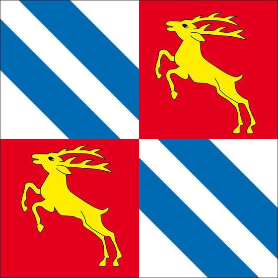Drapeau Vionnaz