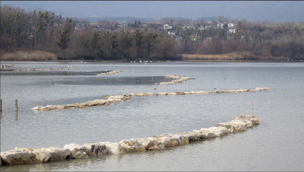 Le réaménagement des Iles des Vernes, à Yverdon-les-Bains, est terminé