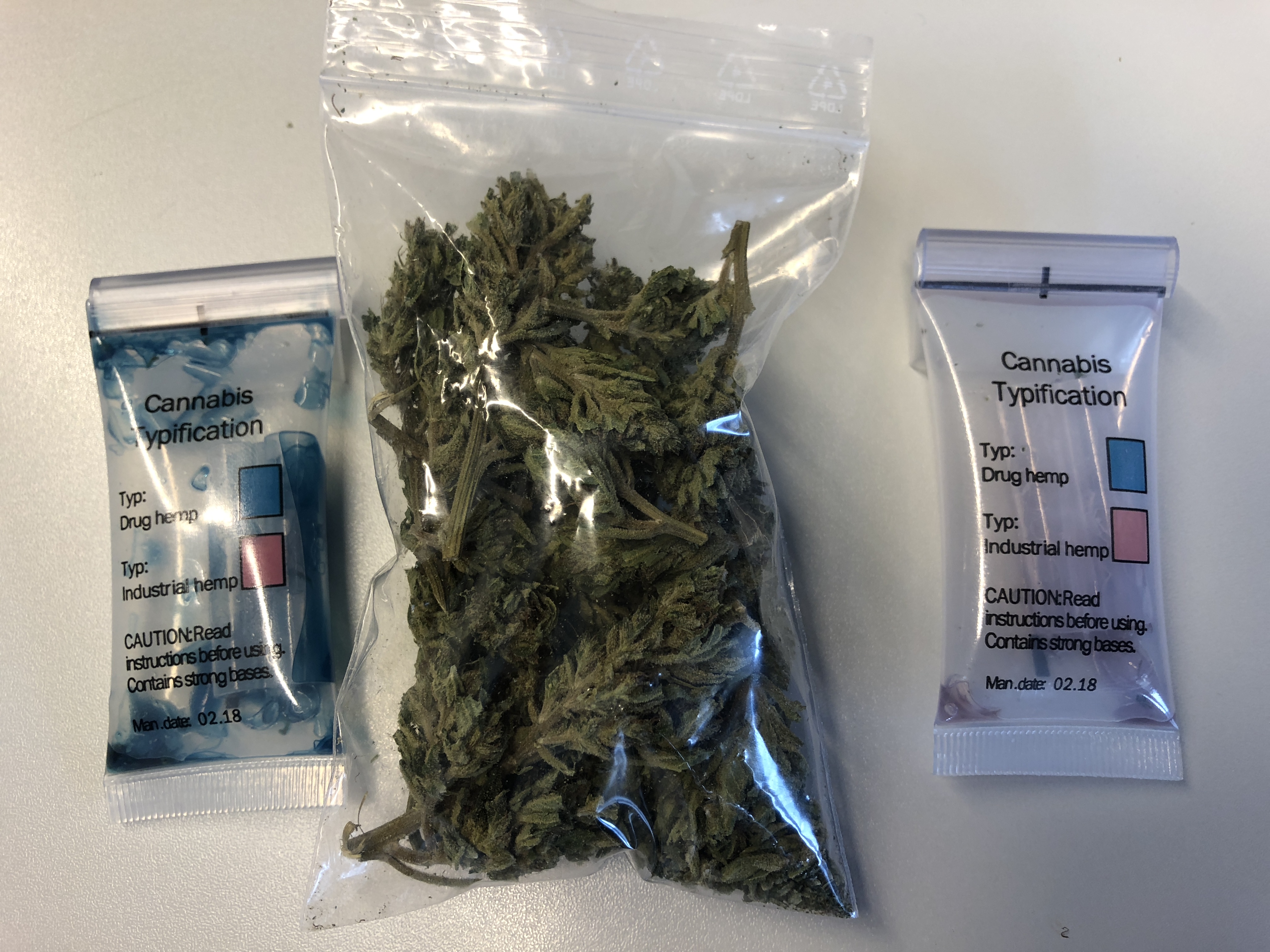 Cannabis illégal: démonstration du kit de détection de la police valaisanne