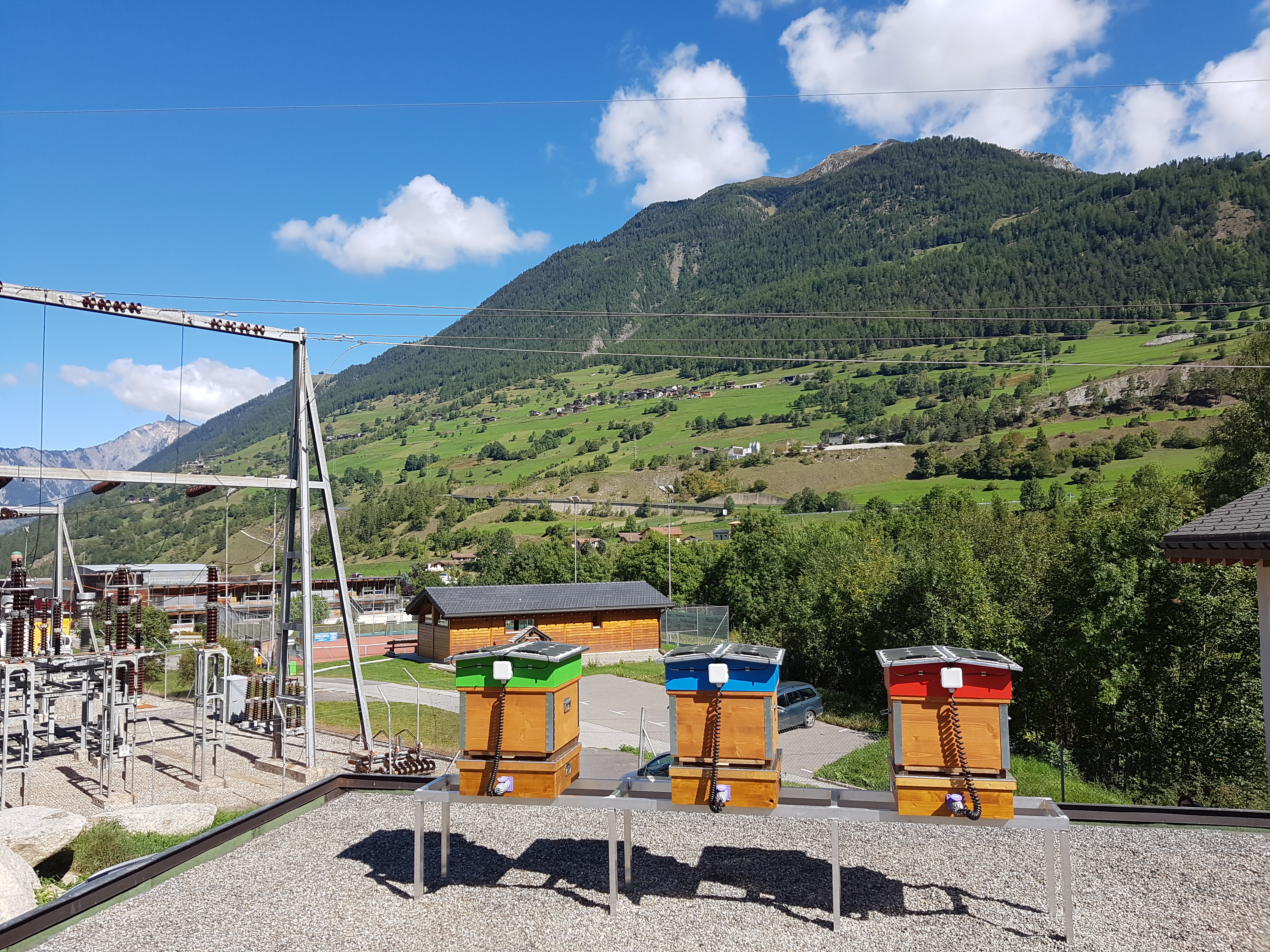 Une société valaisanne met la technologie au service des apiculteurs