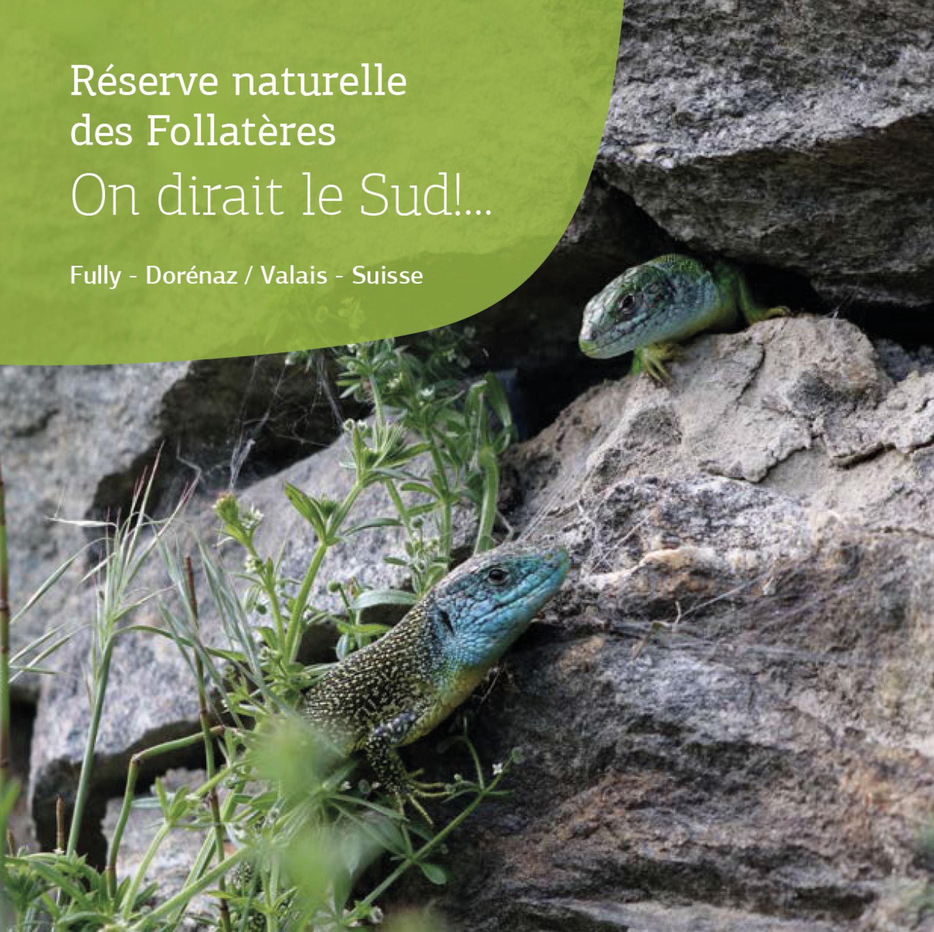 La première journée Fol'Nature promènera les curieux dans la réserve des Follatères de Dorénaz