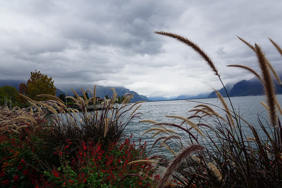 L'eau du Léman est de très bonne qualité