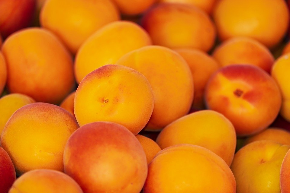 Valais: 2018 est une année à abricots