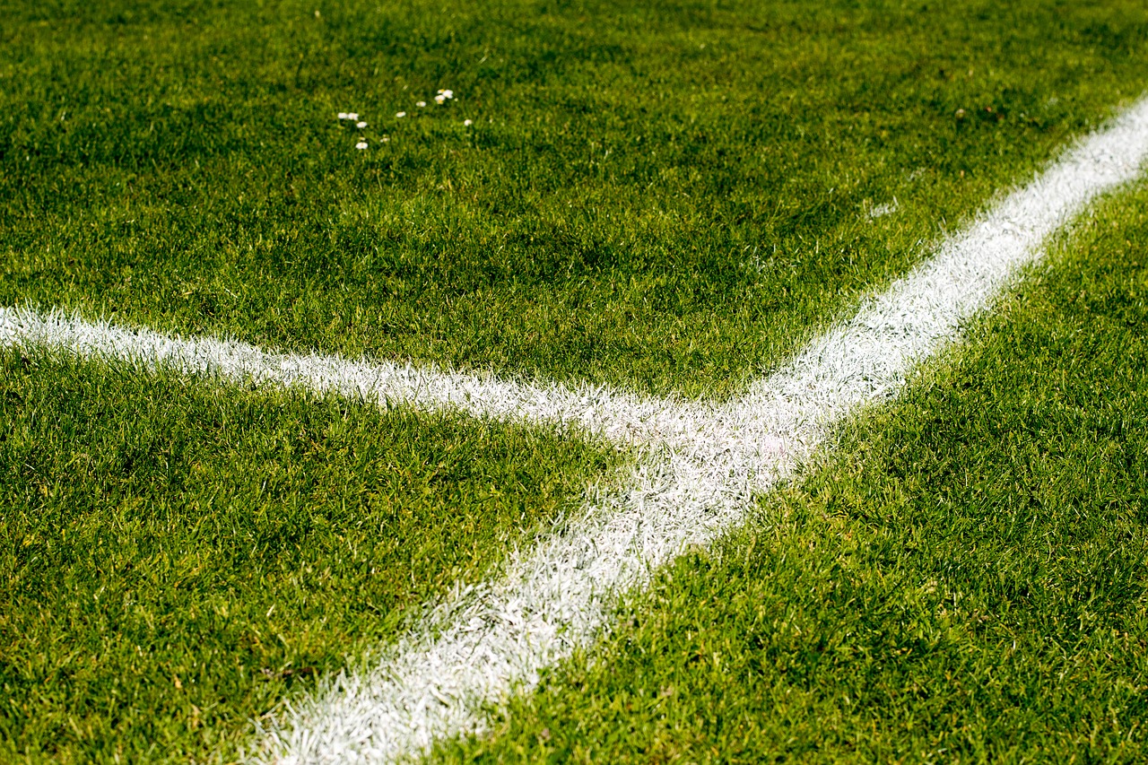 La commune d'Aigle veut dessiner les lignes de son développement sportif