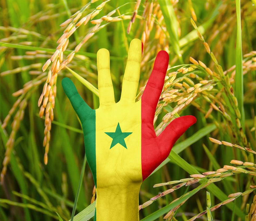 Dédier ses vacances aux autres grâce à des projets solidaires