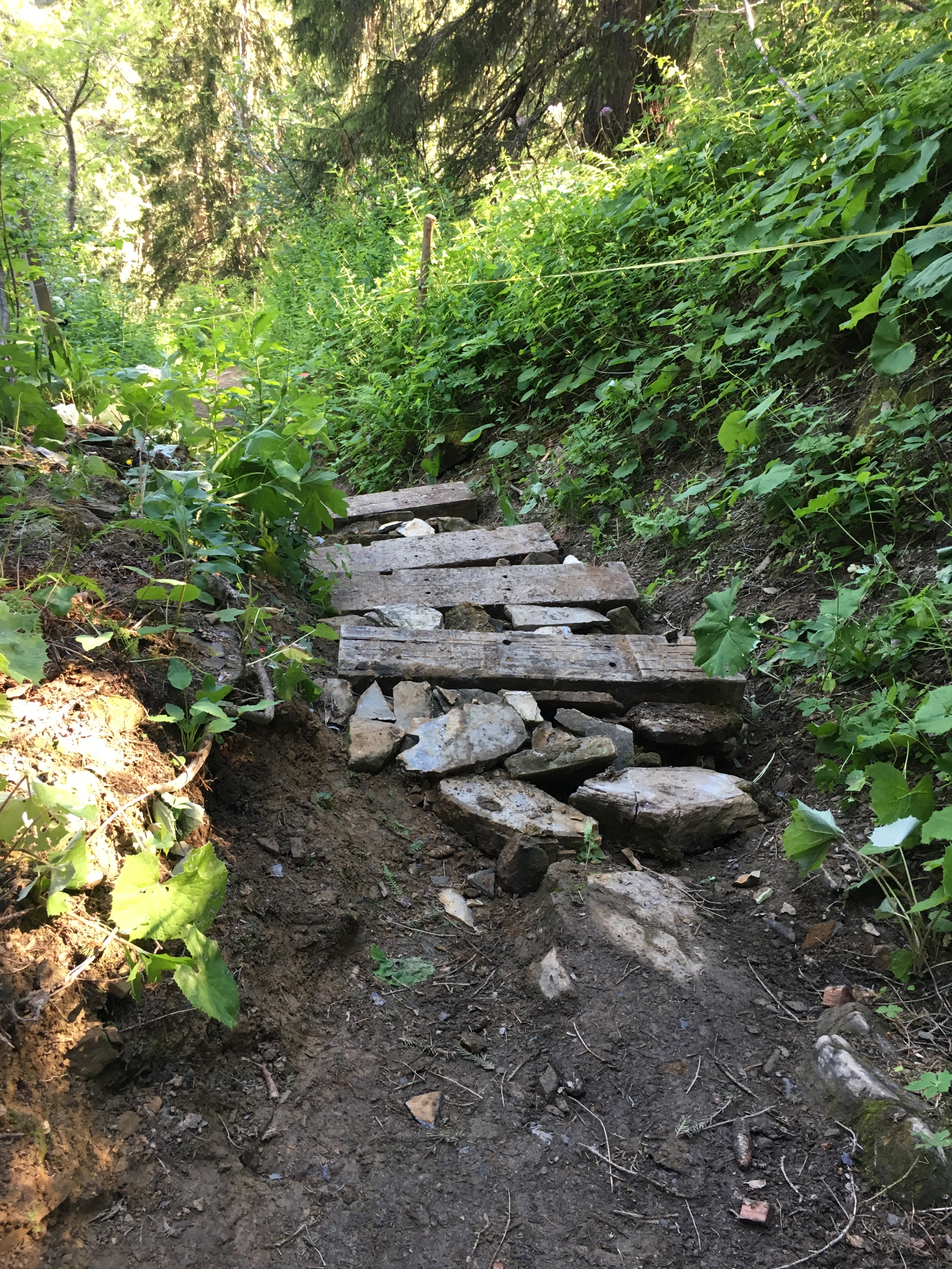 Des bénévoles s'engagent pour des projets estivaux en montagne