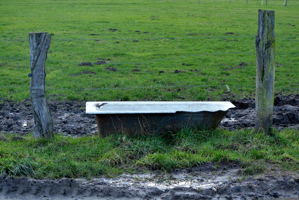 Le plan d'approvisionnement en eau dans les alpages vaudois est lancé