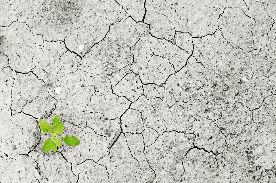La situation de sécheresse exceptionnelle persiste en Valais