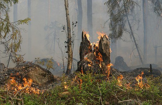 Le danger d'incendie reste marqué sur le territoire vaudois