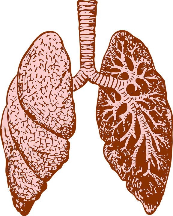 La Ligue Pulmonaire valaisanne organise des dépistages gratuits de la BPCO ce week-end à Monthey