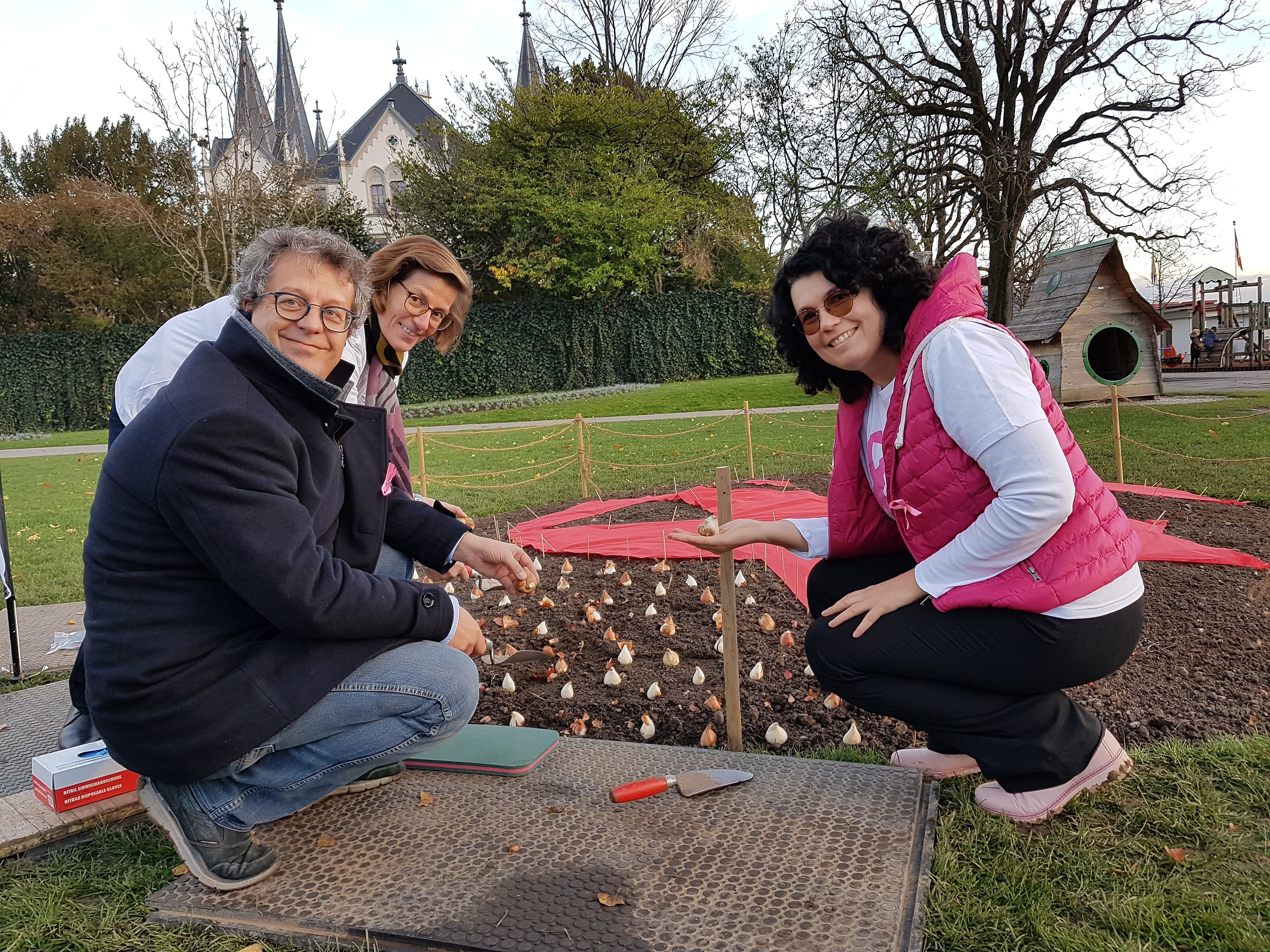 1'100 tulipes plantées à Vevey en faveur des femmes atteintes du cancer du sein