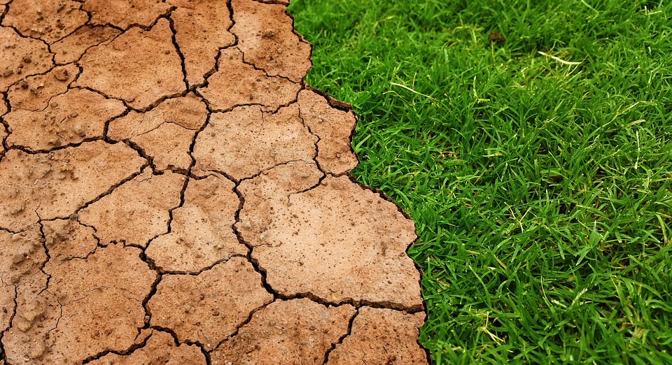 Le programme du 2ème salon du climat à Lausanne s’affine