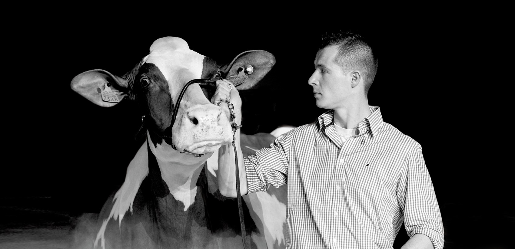 Swiss Expo: 1'000 vaches et génisses paradent au Palais de Beaulieu jusqu'à samedi