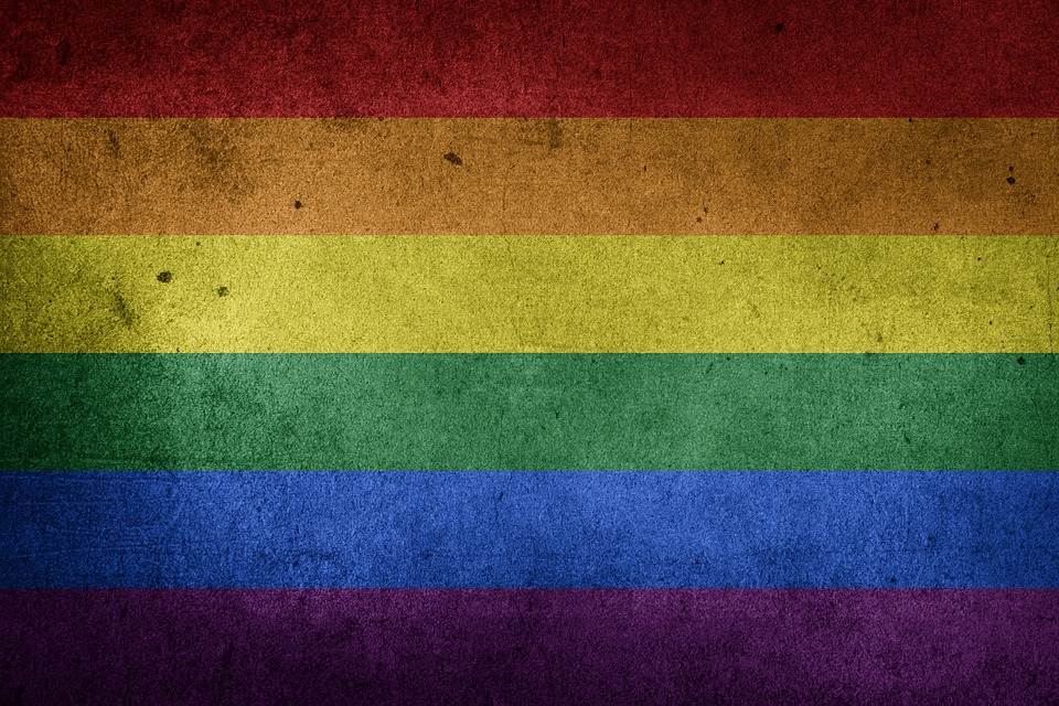 VoGay veut donner une voix aux personnes homosexuelles, bisexuelles et transsexuelles en situation de handicap