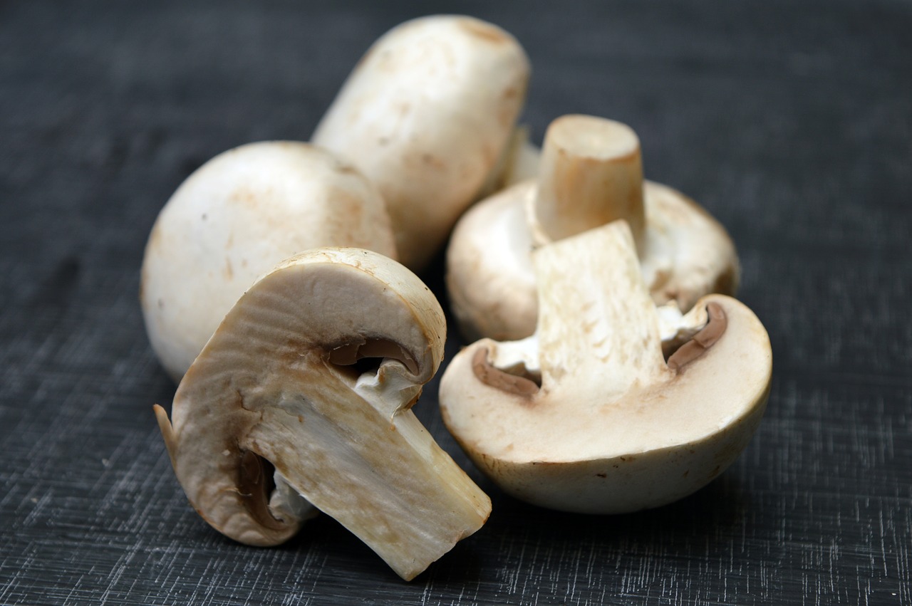 Les champignons d'Aigle ont 75 ans
