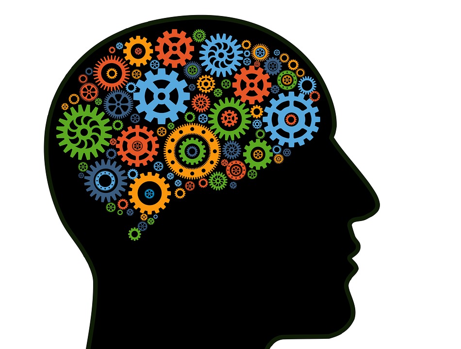 Vaud et Valais participent à la Semaine du Cerveau