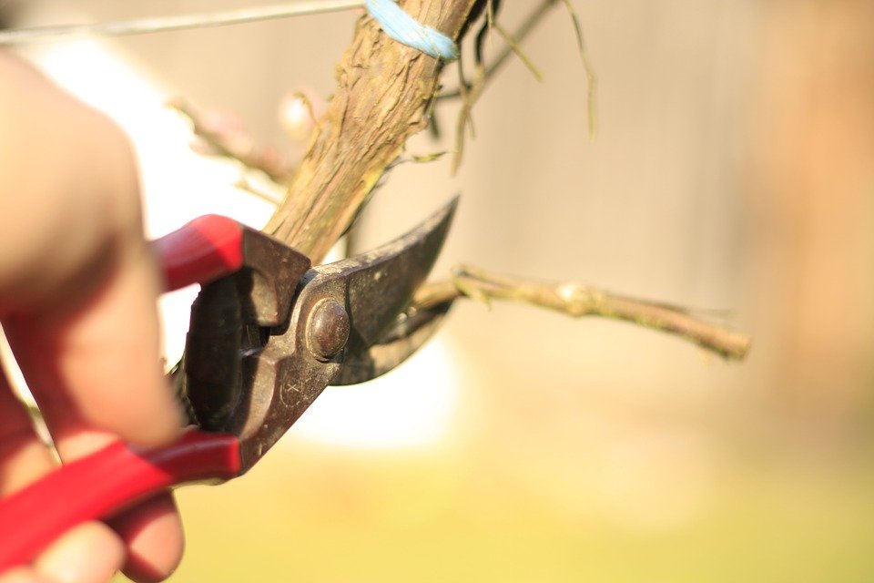 Un film mettra en lumière le travail des 7 vignerons de l'association Lavaux Vin Bio