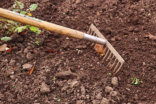 Première récolte prévue cet été pour le potager urbain de Monthey