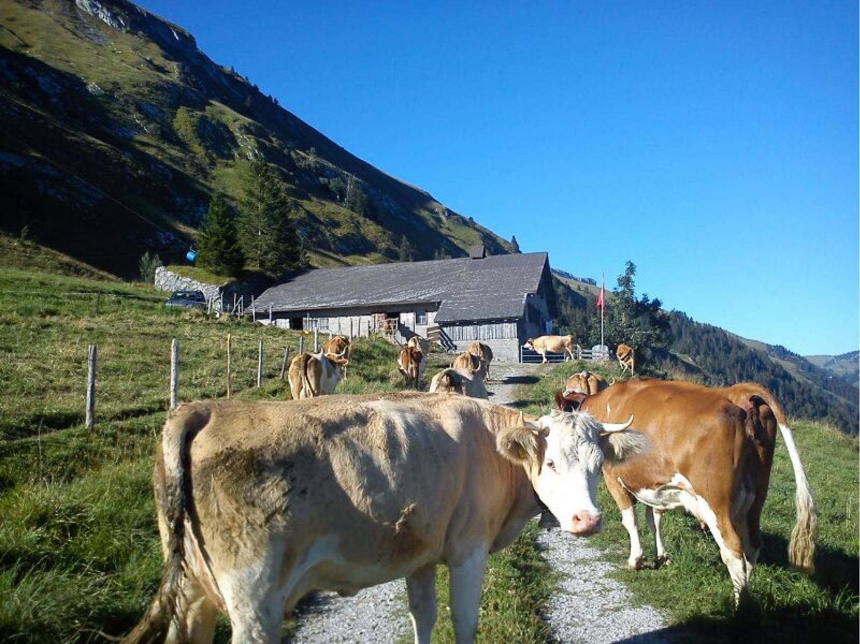 Six chalets d’alpage de l’Etivaz vont subir des réfections
