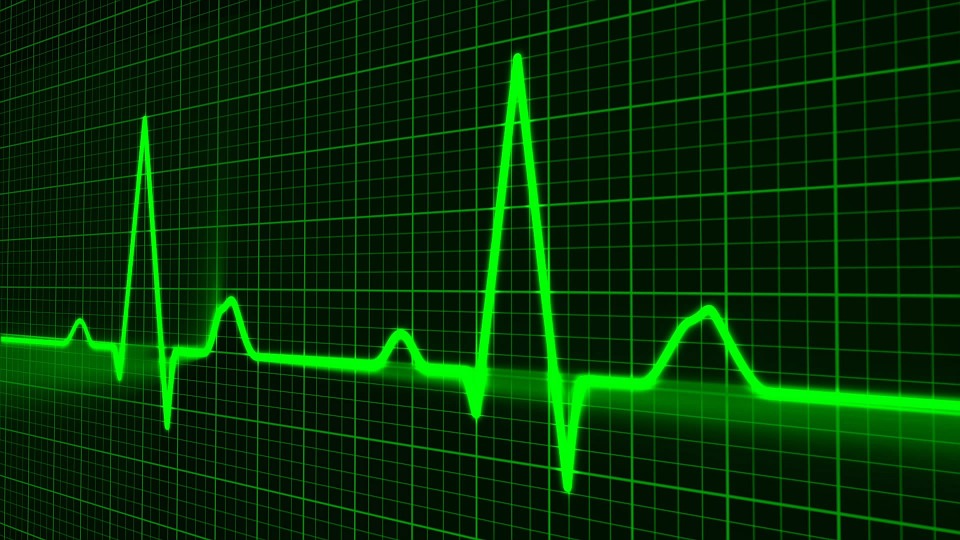 Le Valais doit former davantage de professionnels de la santé