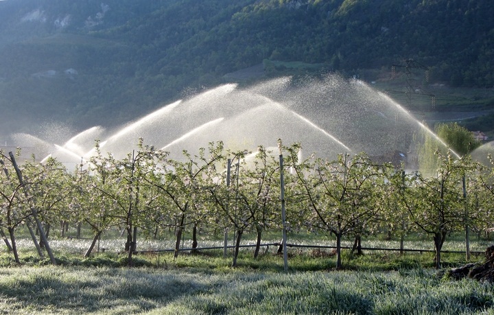 Les installations de lutte contre le gel ont bien fonctionné cette nuit en Valais et sur Vaud
