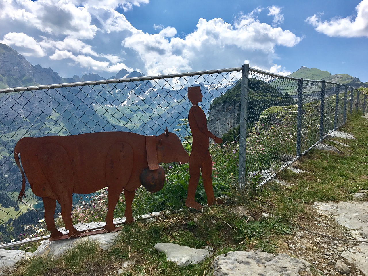 Le cheptel de vaches de la race d'Hérens s'érode